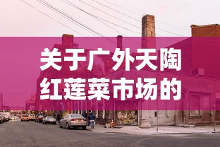 关于广外天陶红莲菜市场的信息 关于广外天陶红莲菜市场的信息