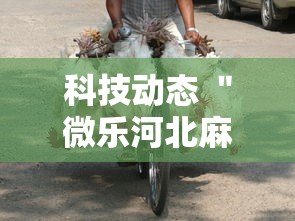 秒懂经验“蜀山麻将外卦”开挂(透视)辅助神器