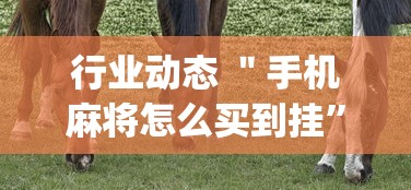行业动态 ＂手机麻将怎么买到挂”开挂(透视)辅助神器