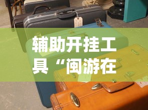 辅助开挂工具“闽游在线开挂辅助器”(太坑了果然有挂)