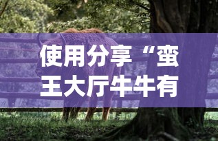 使用分享“蛮王大厅牛牛有挂吗(透视挂真的假的)
