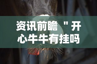 资讯前瞻 ＂开心牛牛有挂吗”真的有挂
