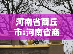 河南省商丘市:河南省商丘市睢县