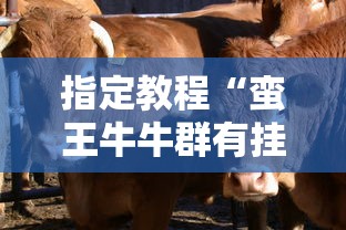 指定教程“蛮王牛牛群有挂吗”-开挂神器-包教包会