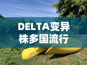 科普常识!微乐捉老麻子怎样免费开挂”开挂辅助教程