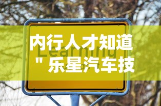 内行人才知道 ＂乐星汽车技术(无锡)有限公司”(透视)其实真的有挂