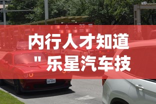 内行人才知道 ＂乐星汽车技术(无锡)有限公司”(透视)其实真的有挂