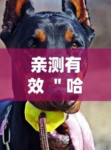 31省区市新增本土确诊68例/31省区市新增本土确诊87例 31省区市新增本土确诊68例/31省区市新增本土确诊87例
