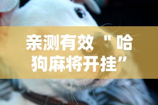 亲测有效 ＂哈狗麻将开挂”真的有挂
