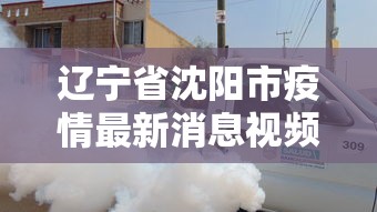 辽宁省沈阳市疫情最新消息视频:辽宁沈阳疫情最新情况