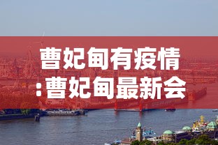 曹妃甸有疫情:曹妃甸最新会议动态
