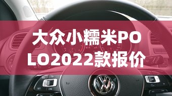 大众小糯米POLO2022款报价及图片（大众小糯米polo价格图片）