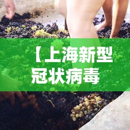 【上海新型冠状病毒,上海新型冠状病毒最新情况】