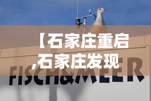 【石家庄重启,石家庄发现】 【石家庄重启,石家庄发现】