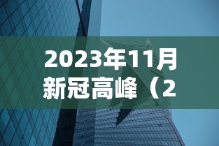 2023年11月新冠高峰(2024年3月新冠高峰) 2023年11月新冠高峰(2024年3月新冠高峰)