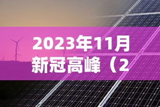 2023年11月新冠高峰(2024年3月新冠高峰) 2023年11月新冠高峰(2024年3月新冠高峰)