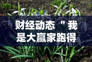 涪陵疫情政策/涪陵公布疫情区域