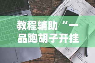 教程辅助“一品跑胡子开挂软件”附透视挂详细教程