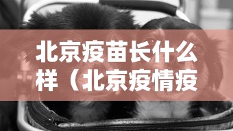 北京疫苗长什么样（北京疫情疫苗叫什么名字）