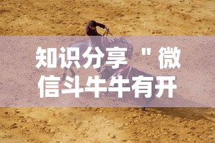 安装程序教程“跑得快16张开挂神器(作弊)”附开挂脚本详细步骤