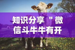 看完秒懂 ＂微信小程序家乡大贰透视	”详细分享装挂