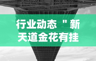 行业动态 ＂新天道金花有挂吗(透视)”开挂辅助详细步骤