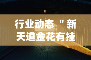 行业动态 ＂新天道金花有挂吗(透视)	”开挂辅助详细步骤