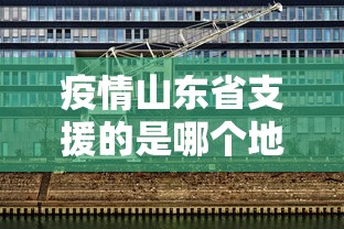 疫情山东省支援的是哪个地区（山东省2020年支援湖北的干部）