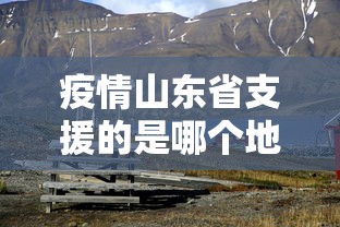 疫情山东省支援的是哪个地区（山东省2020年支援湖北的干部）