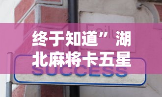 终于知道”湖北麻将卡五星规则方法技巧	”-开挂神器-包教包会