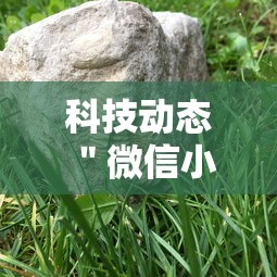 科技动态 ＂微信小程序微乐河南麻将外卦神”辅助神器插件下载