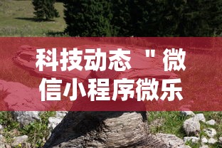 科技动态 ＂微信小程序微乐河南麻将外卦神”辅助神器插件下载
