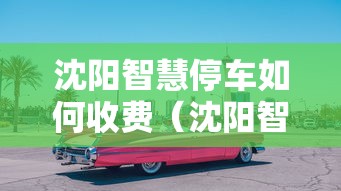 沈阳智慧停车如何收费（沈阳智慧停车收费合理吗）