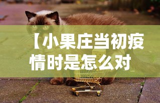 【小果庄当初疫情时是怎么对待动物的/小果指代生肖动物】 【小果庄当初疫情时是怎么对待动物的/小果指代生肖动物】