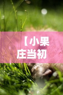 【小果庄当初疫情时是怎么对待动物的/小果指代生肖动物】 【小果庄当初疫情时是怎么对待动物的/小果指代生肖动物】