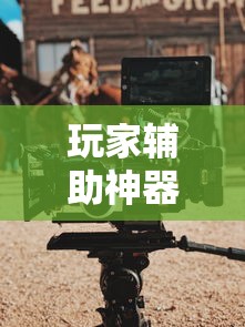 玩家辅助神器：“中至上饶打炸作弊视频”分享必要外挂教程