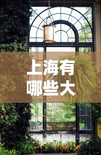 上海有哪些大学（上海有哪些大学是211）