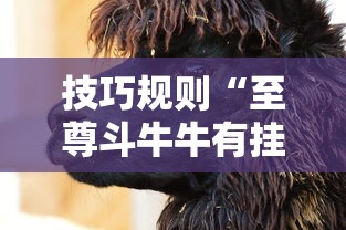 技巧规则“至尊斗牛牛有挂吗	”开挂安装教程
