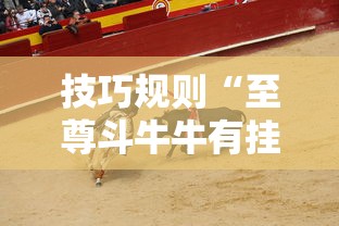技巧规则“至尊斗牛牛有挂吗”开挂安装教程