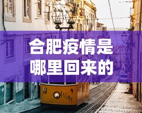 合肥疫情是哪里回来的:合肥疫情是哪一年几月几日开始的