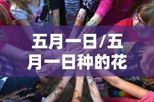 五月一日/五月一日种的花生什么时候收获