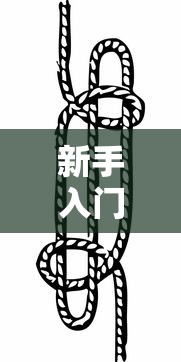 新手入门教程 ＂新人海有透视挂”详细分享装挂步骤教程