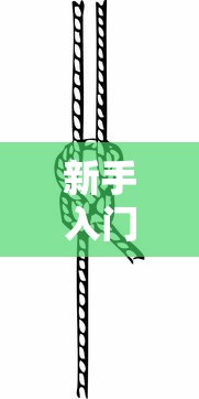 新手入门教程 ＂新人海有透视挂”详细分享装挂步骤教程
