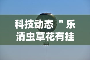 科技动态 ＂乐清虫草花有挂吗	”实测确实有挂
