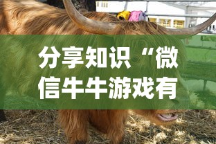 分享知识“微信牛牛游戏有挂吗”(确实真的有挂)
