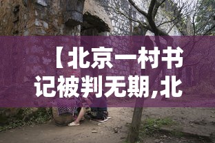 【北京一村书记被判无期,北京村书记全国代表】