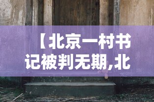 【北京一村书记被判无期,北京村书记全国代表】