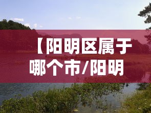 【阳明区属于哪个市/阳明区地图高清版大图】