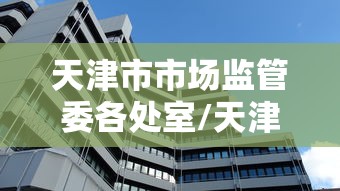 天津市市场监管委各处室/天津市市场监管委主任