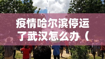疫情哈尔滨停运了武汉怎么办（武汉疫情控制了吗）